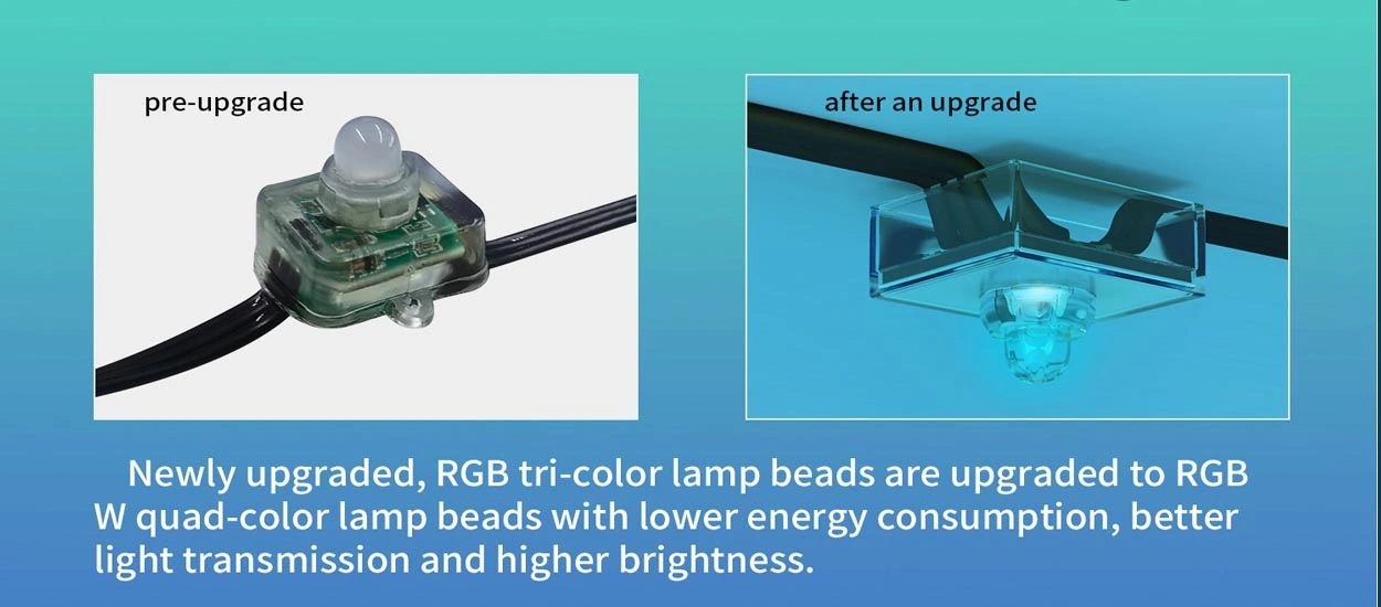 outdoor permanent led lights